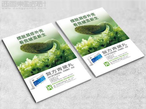 天宁制药公司系列中成药品包装设计案例图片 西风东韵